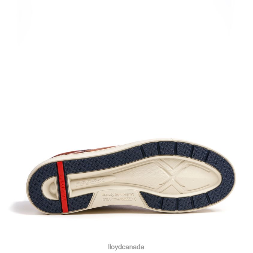 MALAGA LLOYD Men brown R084ZF1327 Shoes