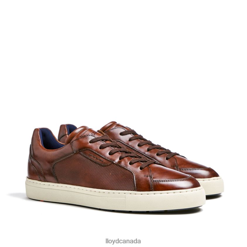 MALAGA LLOYD Men brown R084ZF249 Shoes