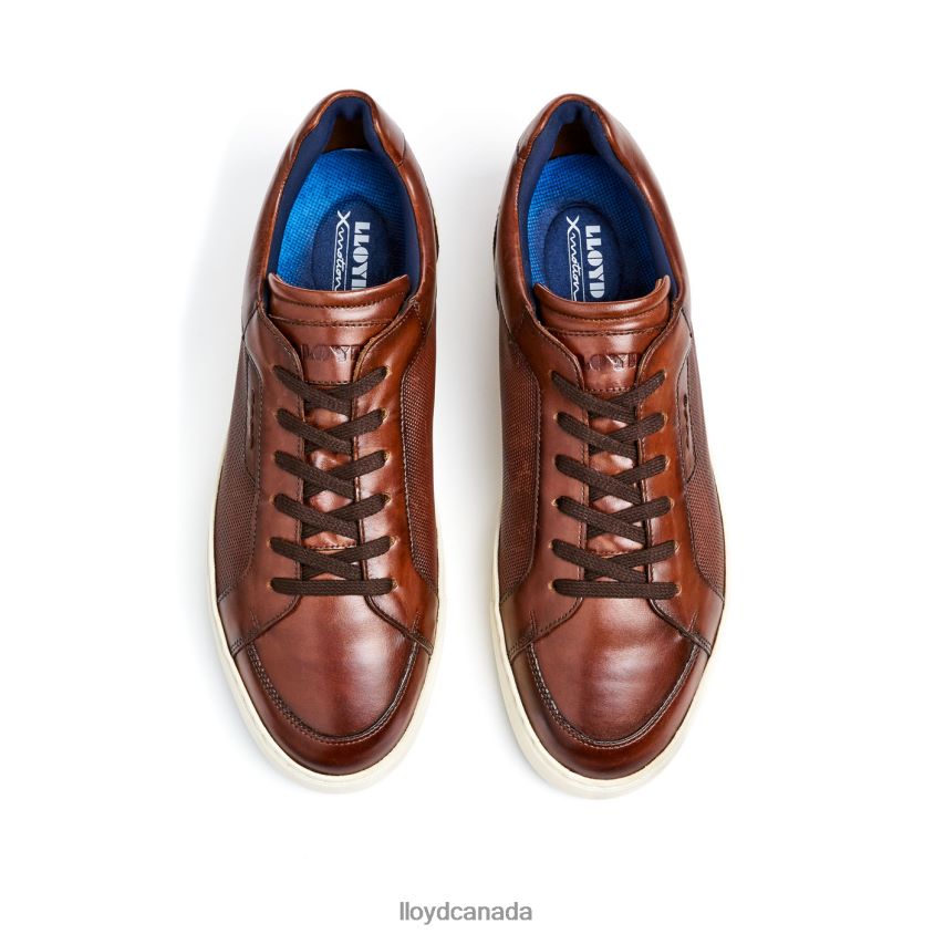 MALAGA LLOYD Men brown R084ZF249 Shoes