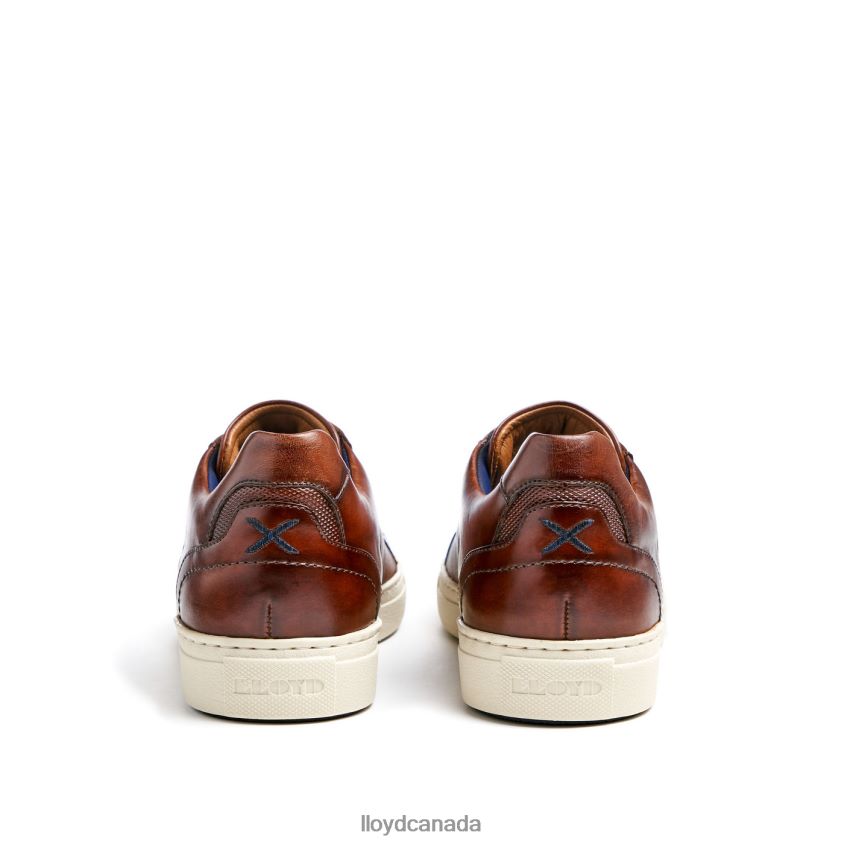 MALAGA LLOYD Men brown R084ZF249 Shoes
