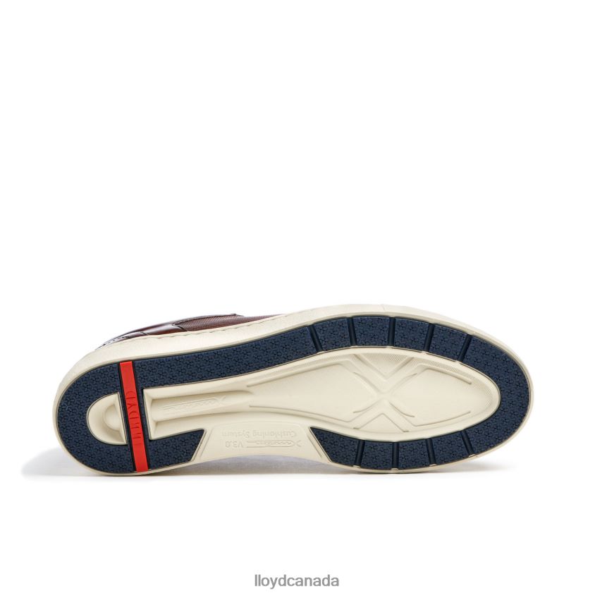 MALAGA LLOYD Men brown R084ZF249 Shoes