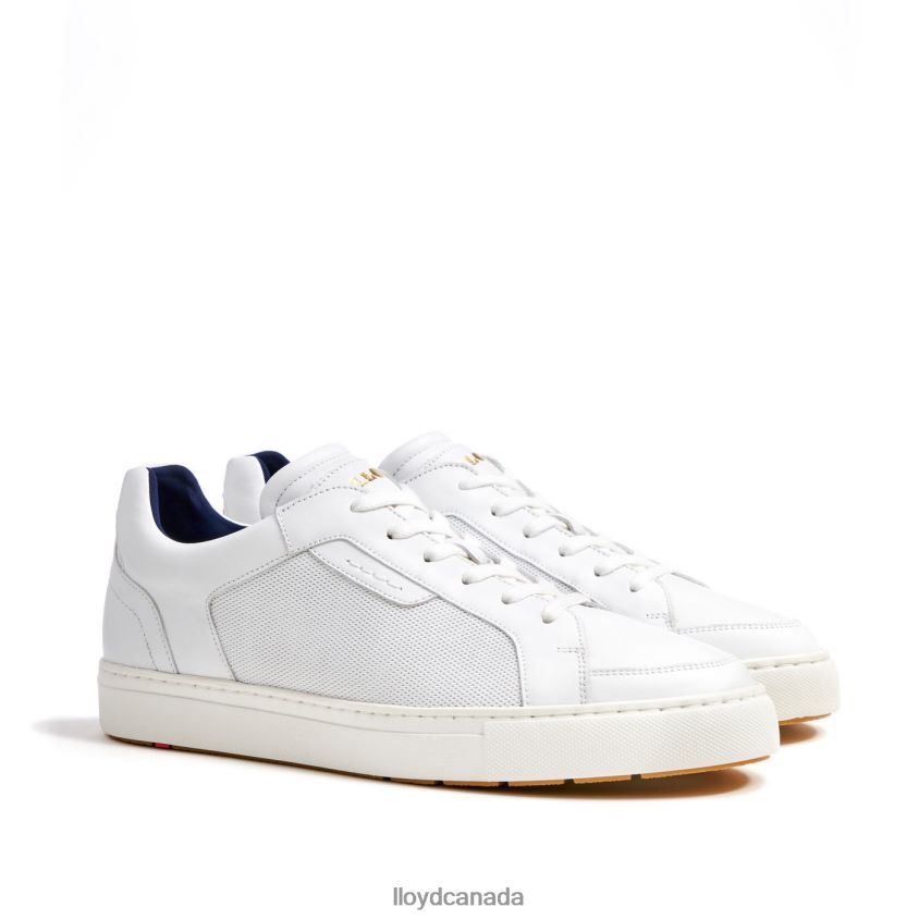 MALAGA LLOYD Men white R084ZF276 Shoes