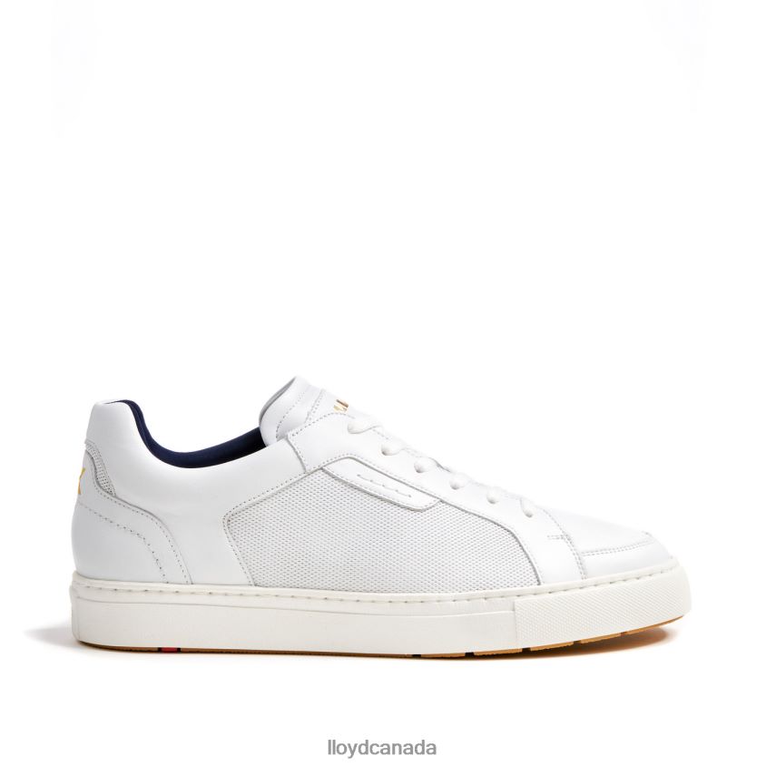 MALAGA LLOYD Men white R084ZF276 Shoes