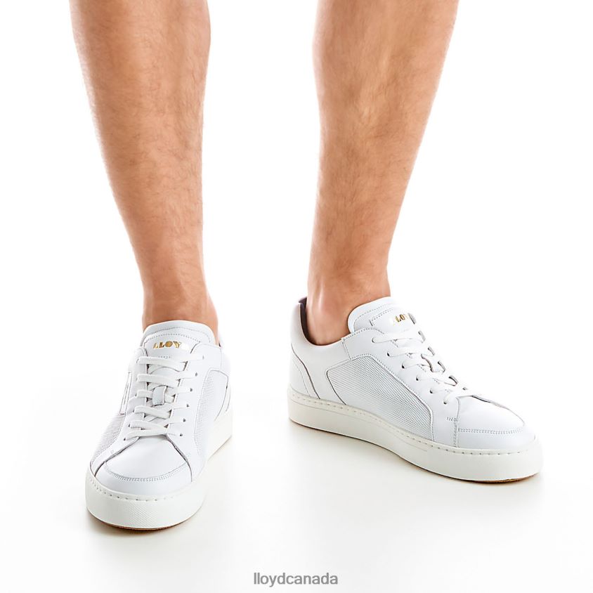 MALAGA LLOYD Men white R084ZF276 Shoes