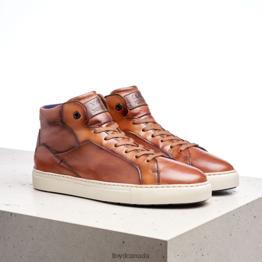 MARSHAL LLOYD Men brown R084ZF254 Shoes