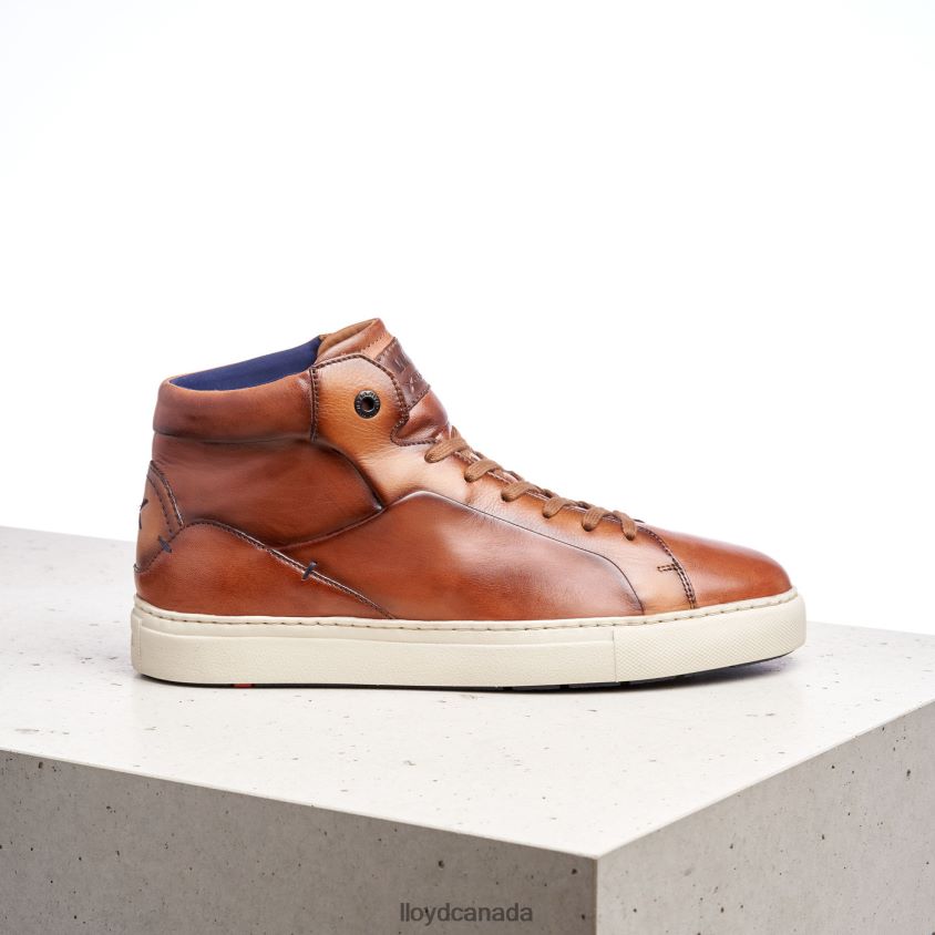 MARSHAL LLOYD Men brown R084ZF254 Shoes