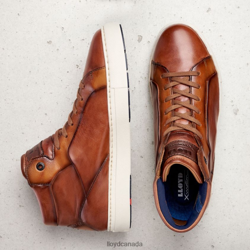 MARSHAL LLOYD Men brown R084ZF254 Shoes