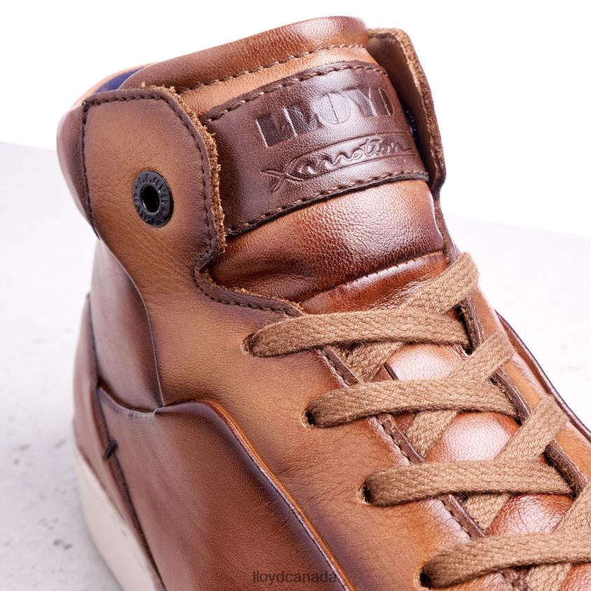 MARSHAL LLOYD Men brown R084ZF254 Shoes