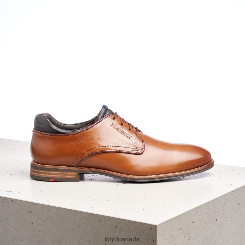 MASSIMO LLOYD Men brown R084ZF201 Shoes