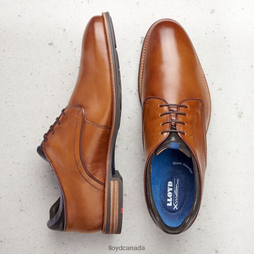 MASSIMO LLOYD Men brown R084ZF201 Shoes