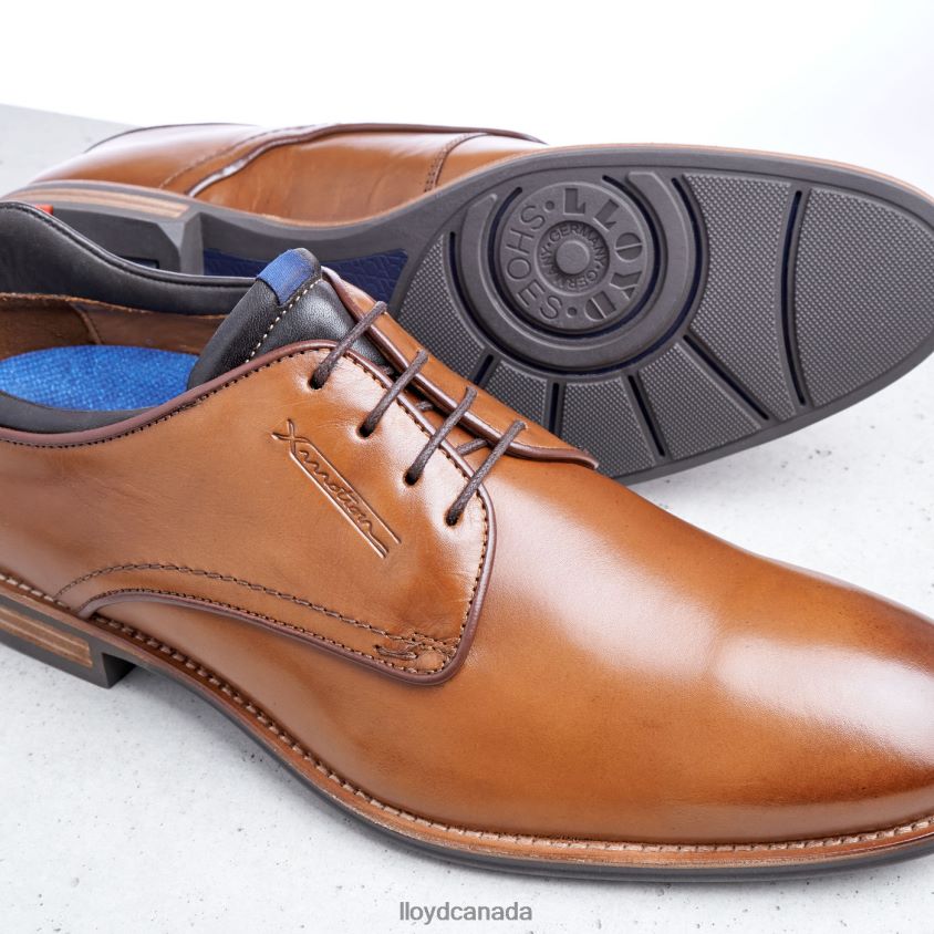 MASSIMO LLOYD Men brown R084ZF201 Shoes