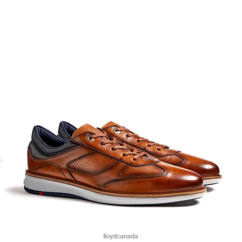 MAXIM LLOYD Men brown R084ZF250 Shoes