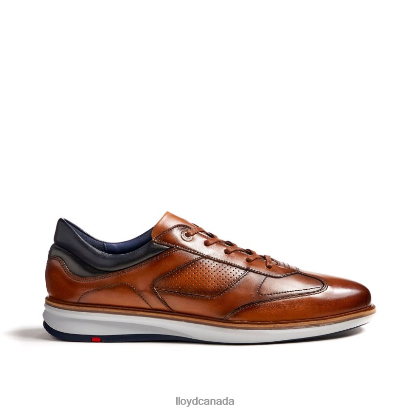 MAXIM LLOYD Men brown R084ZF250 Shoes