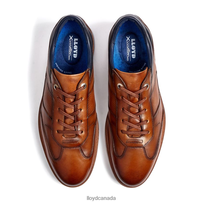MAXIM LLOYD Men brown R084ZF250 Shoes