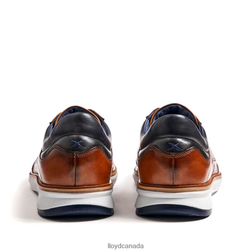 MAXIM LLOYD Men brown R084ZF250 Shoes