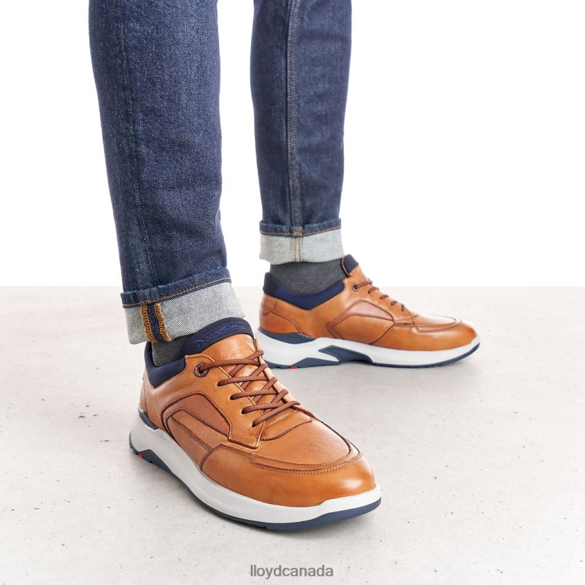 MEMPHIS LLOYD Men brown R084ZF1328 Shoes