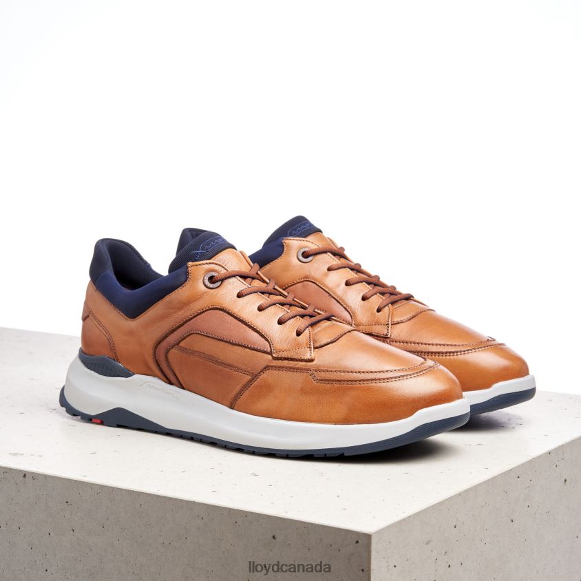 MEMPHIS LLOYD Men brown R084ZF1328 Shoes