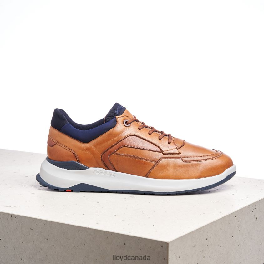 MEMPHIS LLOYD Men brown R084ZF1328 Shoes