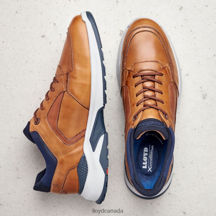 MEMPHIS LLOYD Men brown R084ZF1328 Shoes
