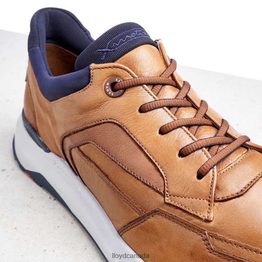 MEMPHIS LLOYD Men brown R084ZF1328 Shoes
