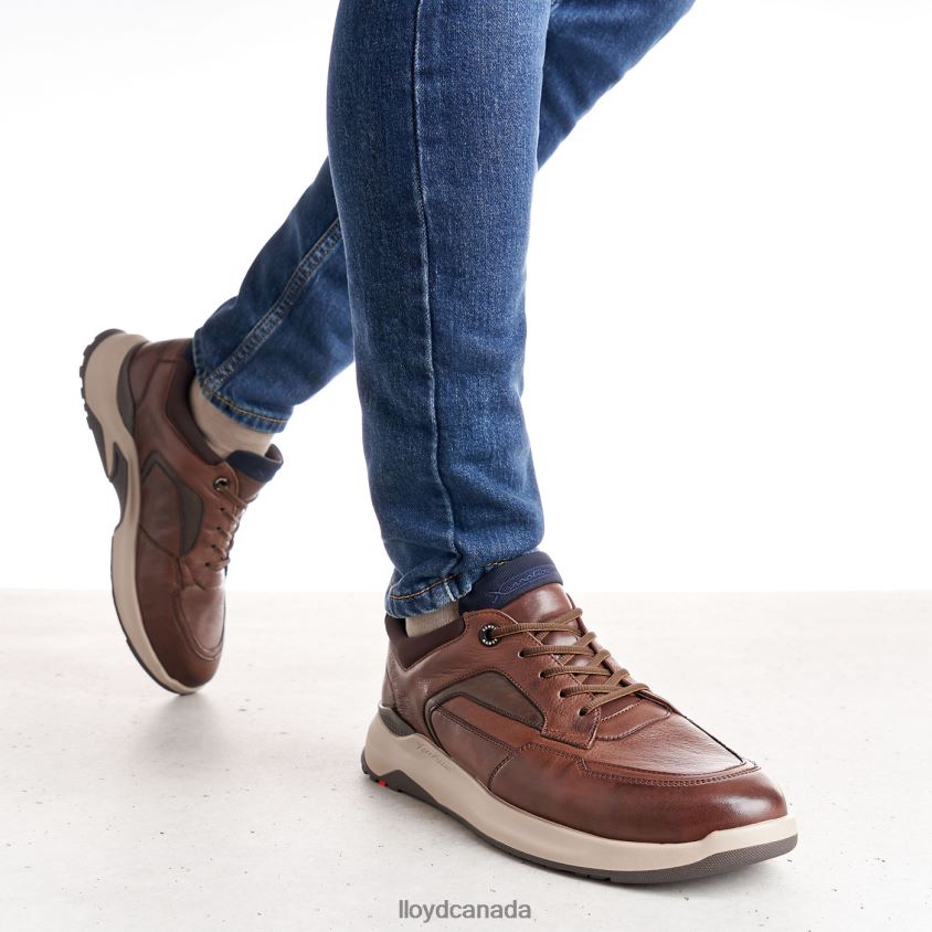 MEMPHIS LLOYD Men brown R084ZF267 Shoes