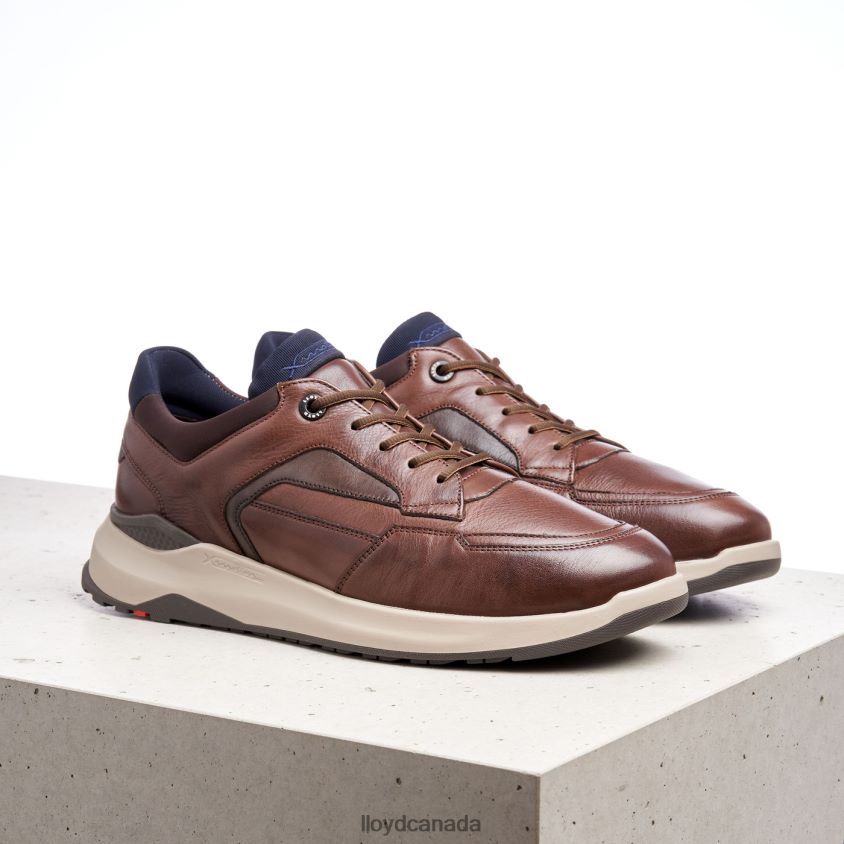 MEMPHIS LLOYD Men brown R084ZF267 Shoes