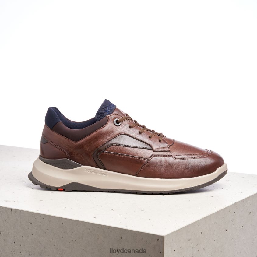 MEMPHIS LLOYD Men brown R084ZF267 Shoes
