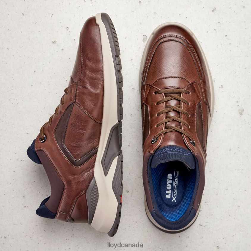 MEMPHIS LLOYD Men brown R084ZF267 Shoes