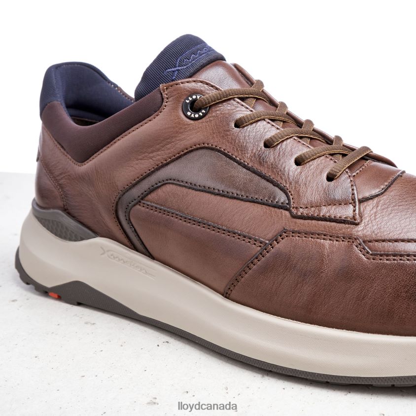 MEMPHIS LLOYD Men brown R084ZF267 Shoes