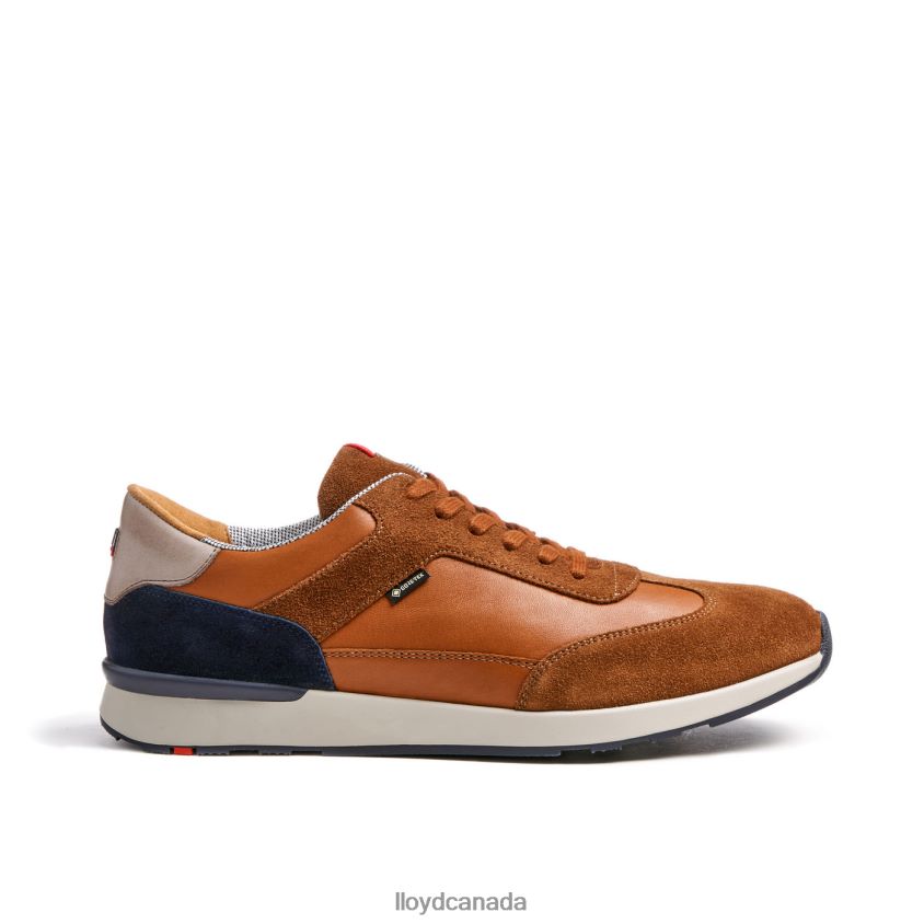 VEDEA LLOYD Men brown R084ZF322 Shoes