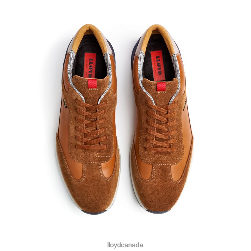 VEDEA LLOYD Men brown R084ZF322 Shoes