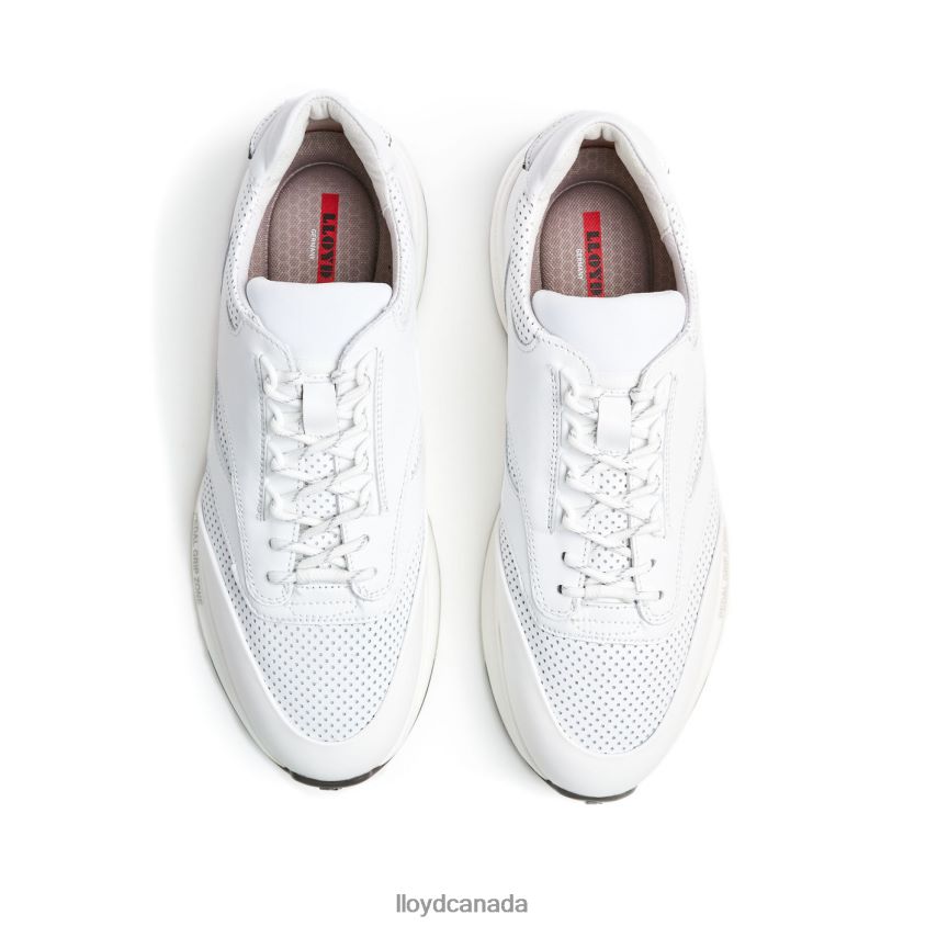 VELO 1 LLOYD Men white R084ZF280 Shoes