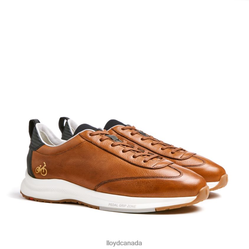 VELO 6 LLOYD Men brown R084ZF435 Shoes