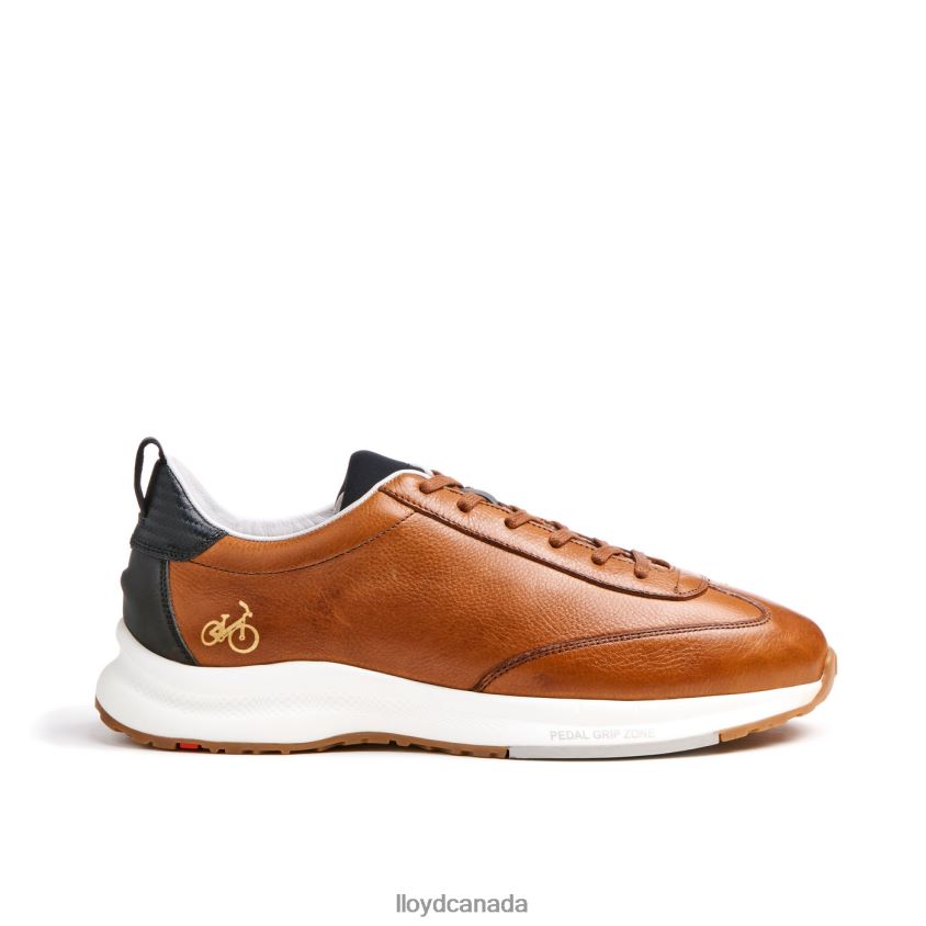 VELO 6 LLOYD Men brown R084ZF435 Shoes
