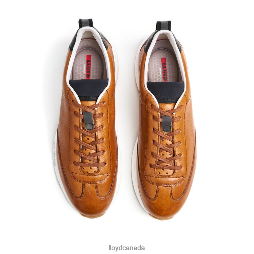 VELO 6 LLOYD Men brown R084ZF435 Shoes