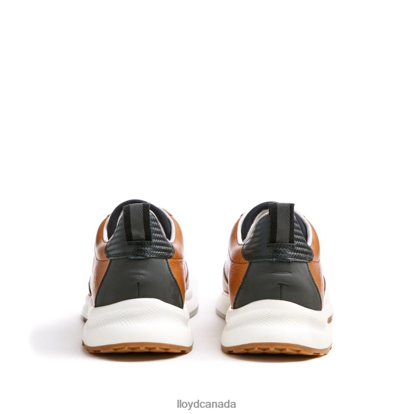 VELO 6 LLOYD Men brown R084ZF435 Shoes