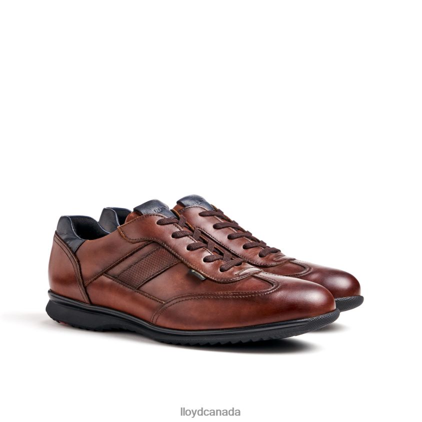 VERNON LLOYD Men brown R084ZF136 Shoes