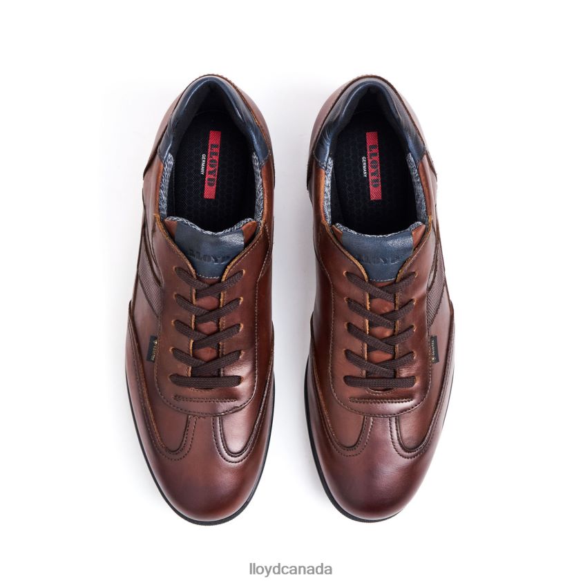 VERNON LLOYD Men brown R084ZF136 Shoes