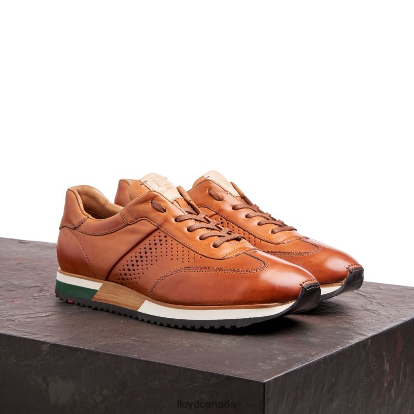 WALCOTT LLOYD Men brown R084ZF180 Shoes
