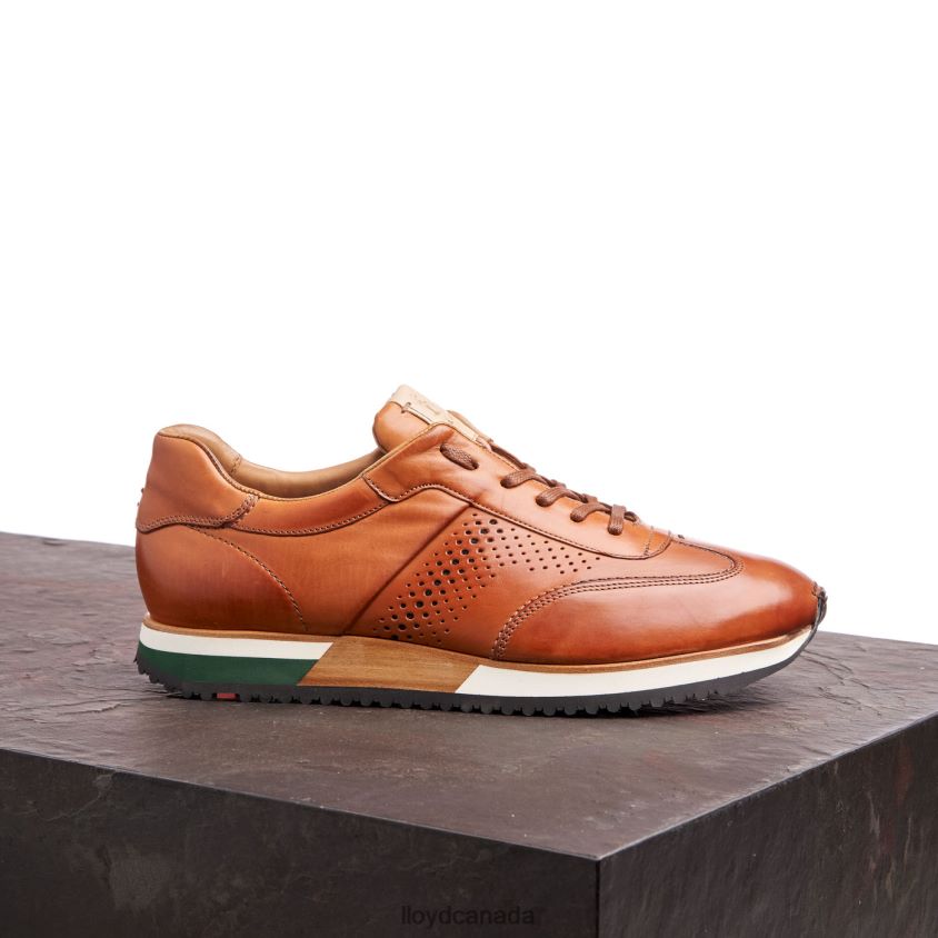 WALCOTT LLOYD Men brown R084ZF180 Shoes