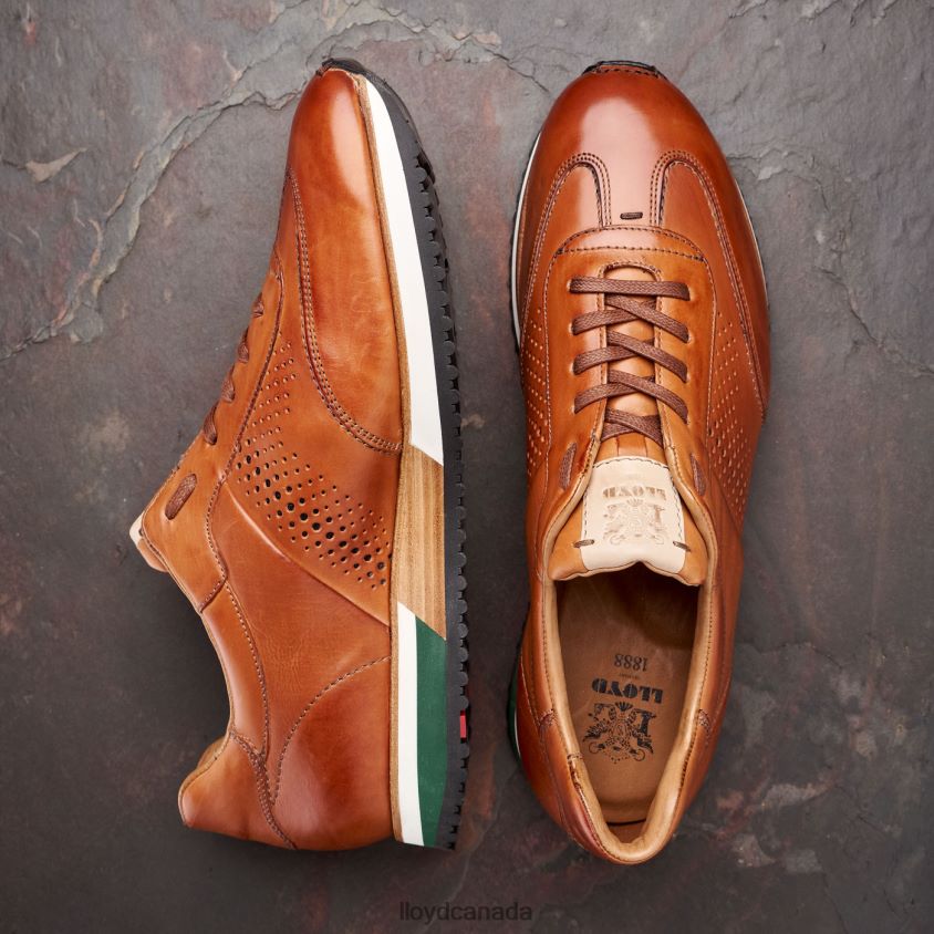 WALCOTT LLOYD Men brown R084ZF180 Shoes