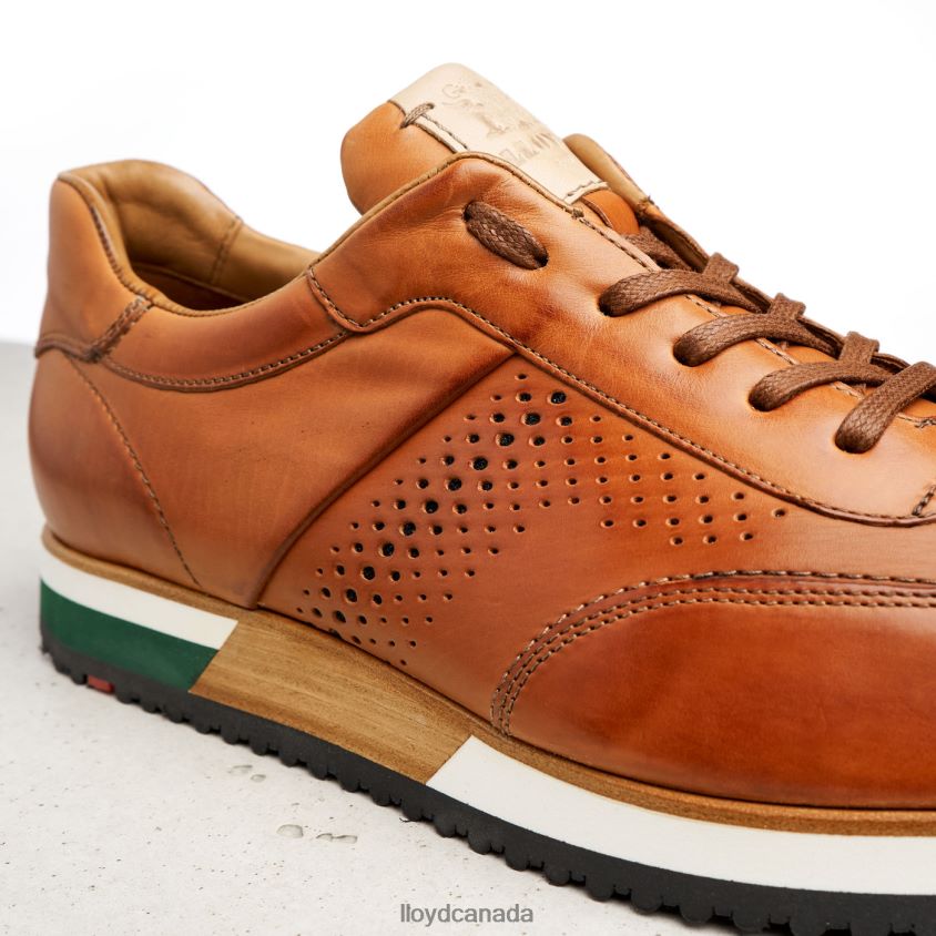 WALCOTT LLOYD Men brown R084ZF180 Shoes