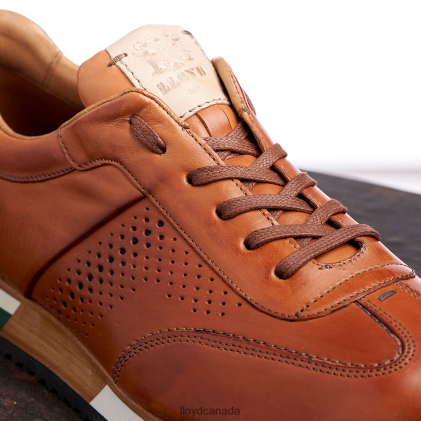 WALCOTT LLOYD Men brown R084ZF180 Shoes
