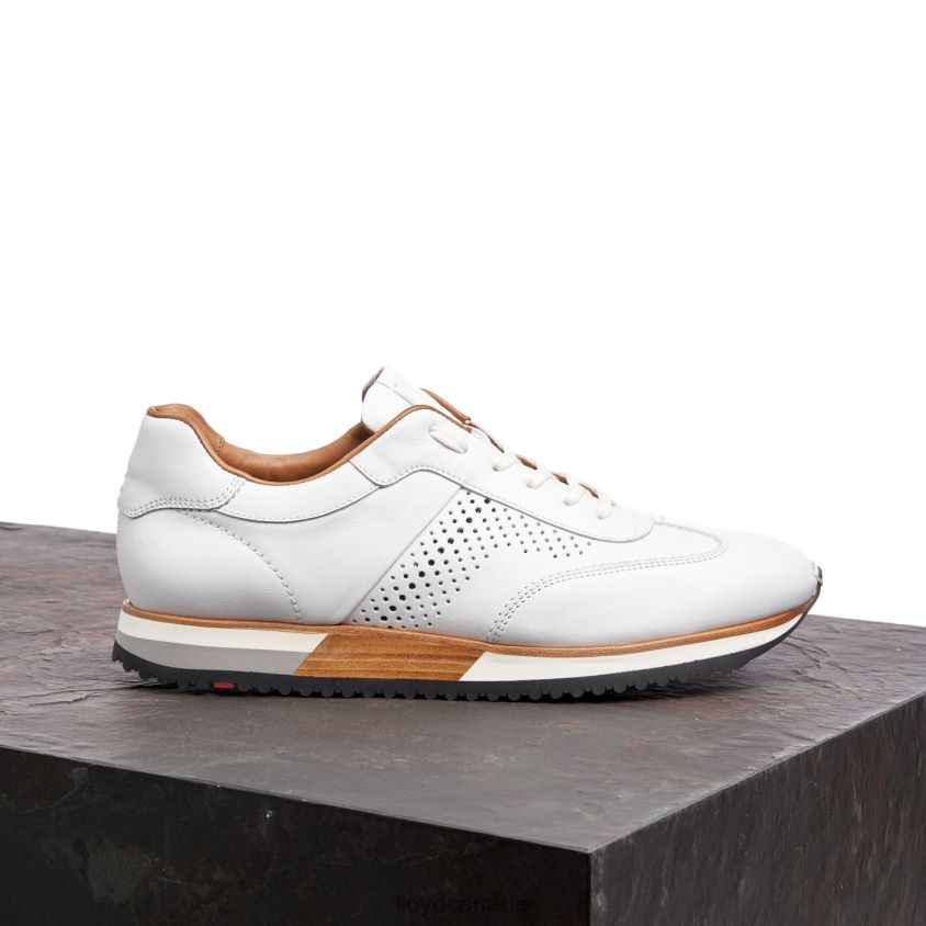 WALCOTT LLOYD Men white R084ZF1320 Shoes