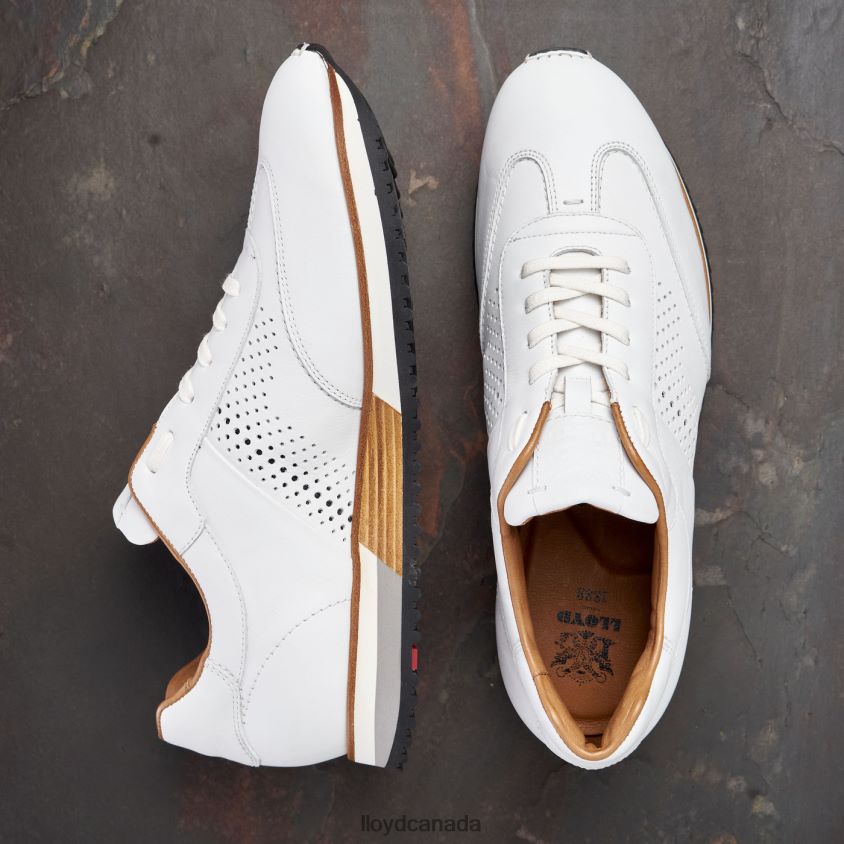 WALCOTT LLOYD Men white R084ZF1320 Shoes