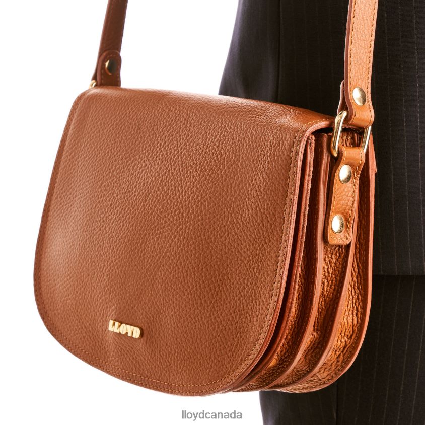 SADDLE BAG LLOYD Women brown R084ZF1299 Accessories