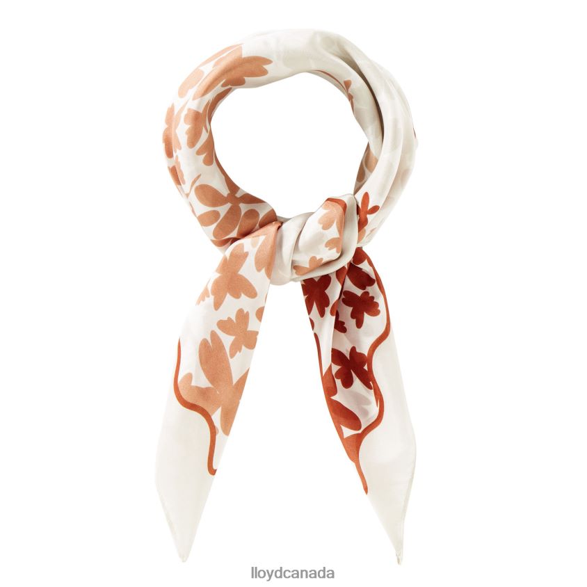 DIANE LLOYD Women brown R084ZF1302 Accessories