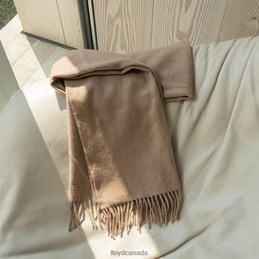 WOOL/CASHMERE SCARF LLOYD Women beige R084ZF1306 Accessories