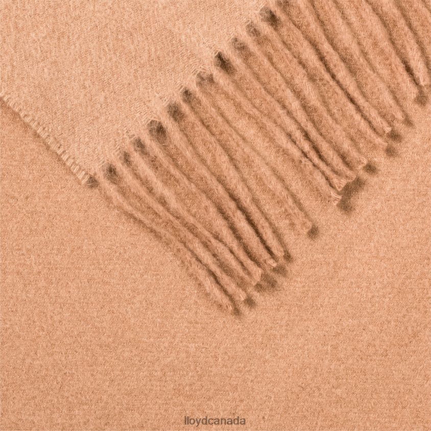 WOOL/CASHMERE SCARF LLOYD Women beige R084ZF1306 Accessories