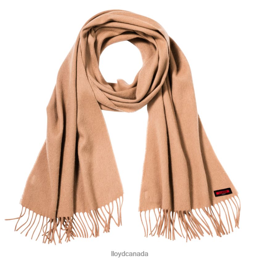 WOOL/CASHMERE SCARF LLOYD Women beige R084ZF1306 Accessories